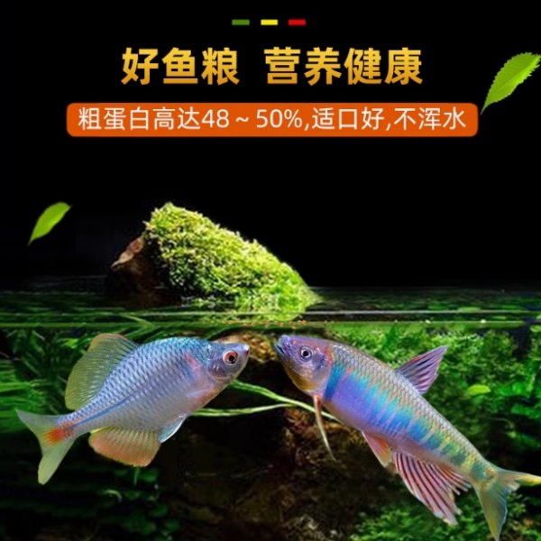 草鱼饲料高蛋白大颗粒水库池塘养殖专用鲤鱼青鱼鲢鱼鲫鱼饲料
